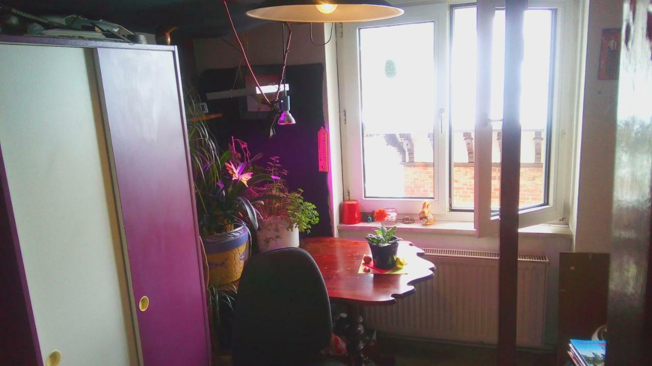 Citycentre Room For 1 Female Persons - Alternative Plus 1 Child Франкфурт на Майн Екстериор снимка